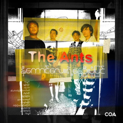 歌手 The Ants