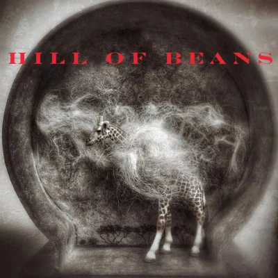 歌手 Hill Of Beans