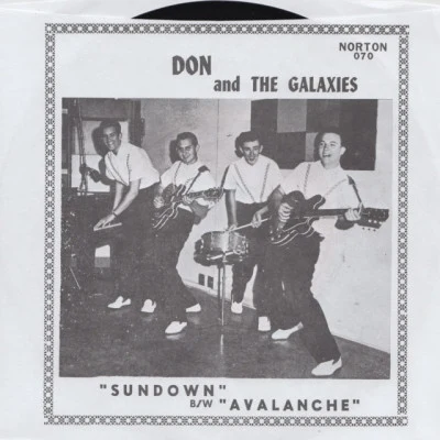 歌手 Don & the galaxies