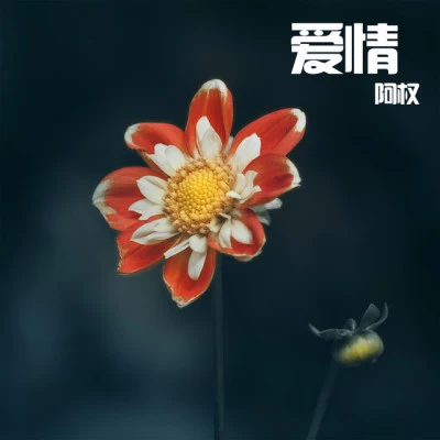 阿權 熱門華語257