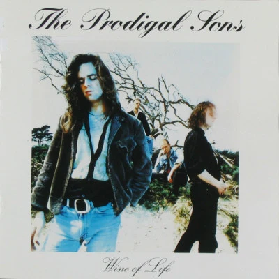 歌手 The Prodigal Sons