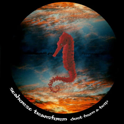 歌手 Seahorse Transform