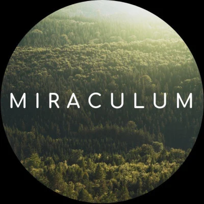 歌手 MiraculuM