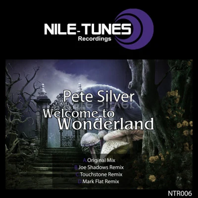 歌手 Pete Silver